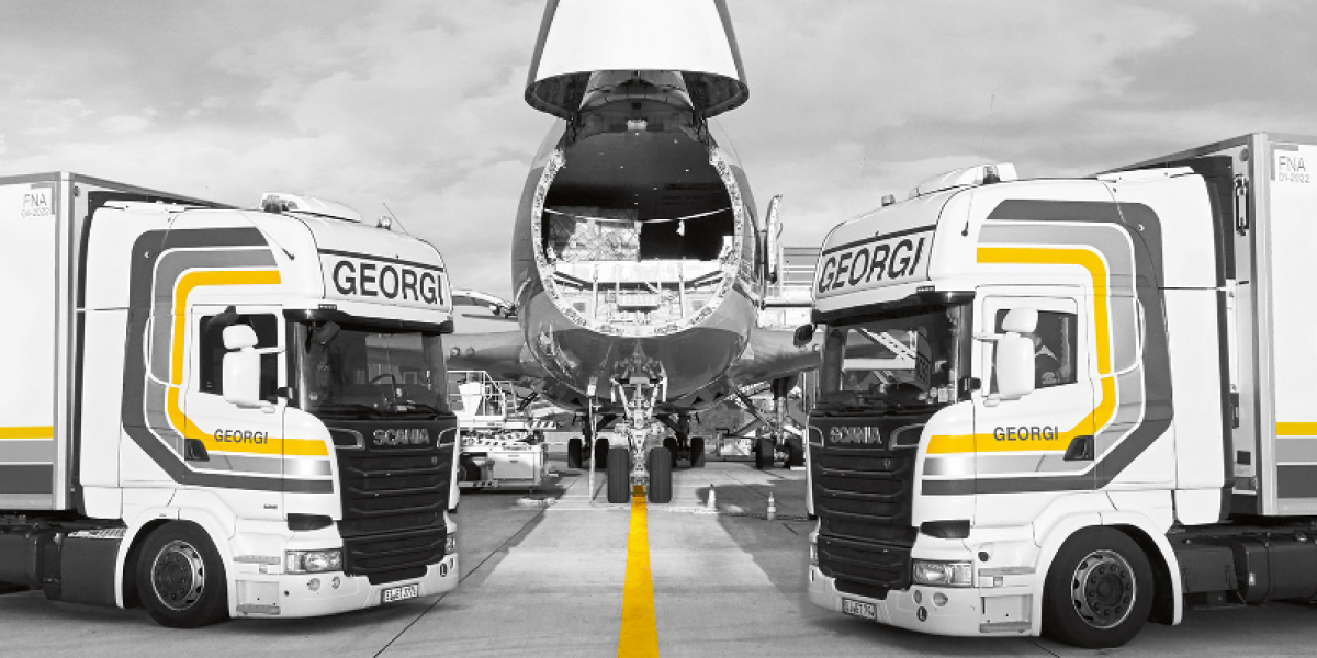 GEORGI GmbH & Co. KG Transporte